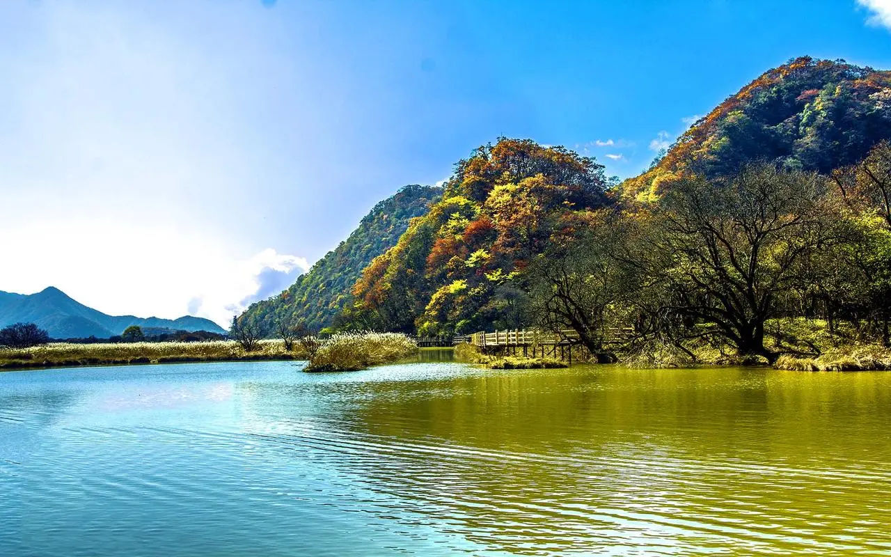 电子智能制造信息化